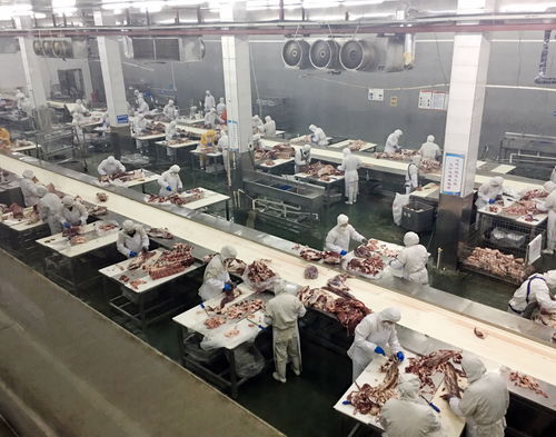 重慶農商行 強化銀電合作，以電力大數據賦能企業復工復產——市場調研分析