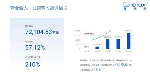 深耕行業(yè)客戶，寒武紀(jì)加速場(chǎng)景落地市場(chǎng)調(diào)研分析